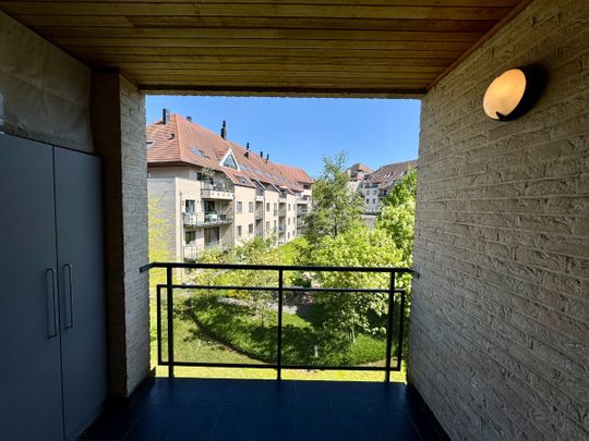 Ruim 3-slaapkamer appartement met terras in het centrum - Photo 1