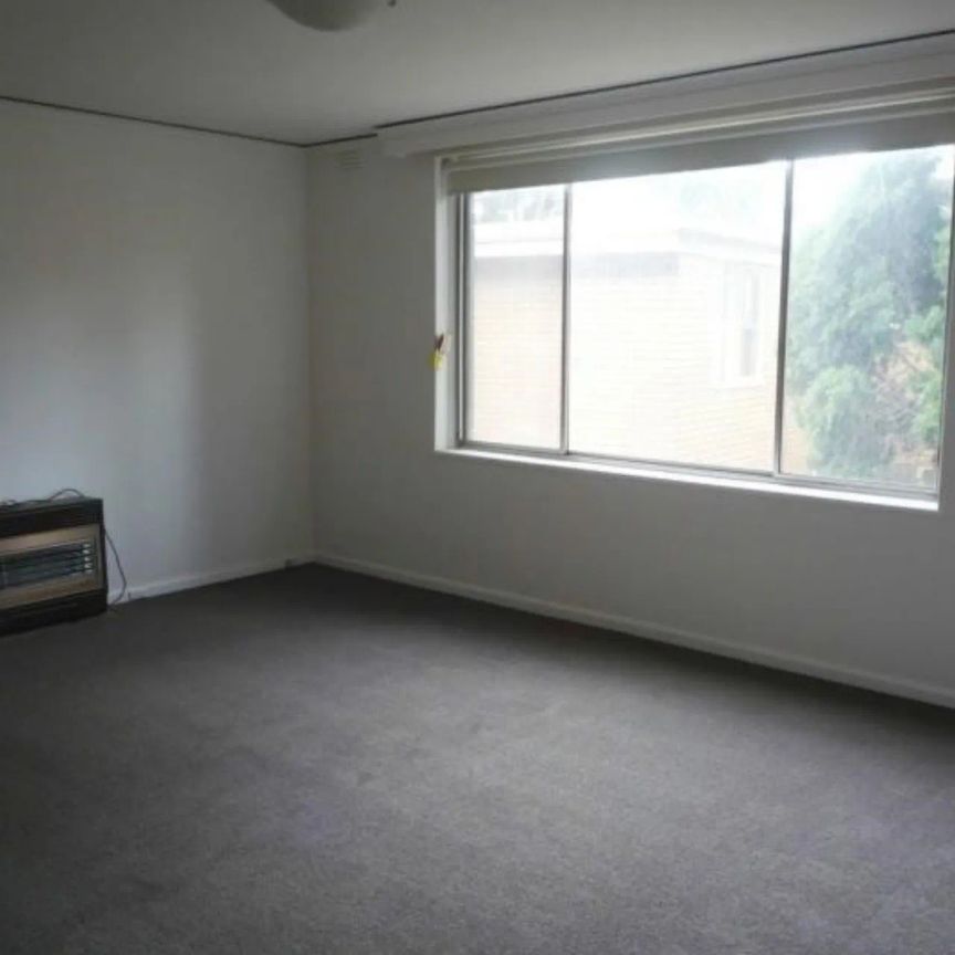 Spacious Apartment in the Heart of South Yarra! - Photo 1