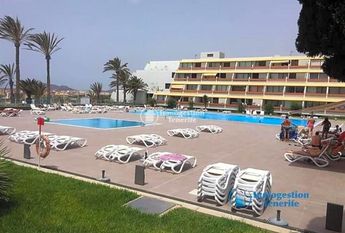 *Rent season apartment in Las Galletas