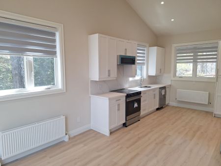 For Lease - 165 Bay Street Unit# 3, Blue Mountains, Ontario - Photo 5