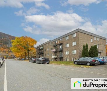 532 rue Nadeau, Mont-St-Hilaire à louer - Photo 1