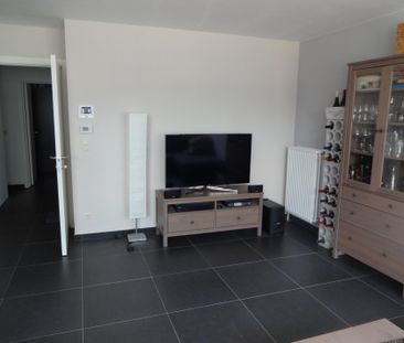 - Stekene – Gezellig gelijkvloers appartement in centrum - Photo 4