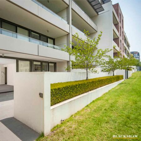 Stunning Courtyard Apartment in the heart of Kingston - Photo 4