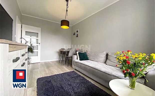 Apartament na wynajem Szczecin - Zdjęcie 1