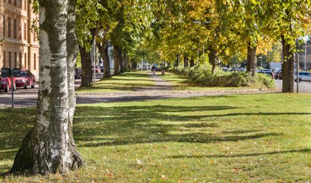 Storgatan 1, 75331, Uppsala - Photo 3