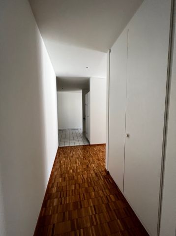 Cervo 2 - Foto 4