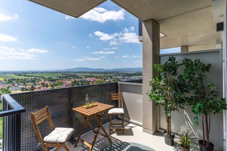 Heizung, Strom, Internet+TV & Fitness inklusive! Serviced Apartment im TABA Tower! - Foto 4