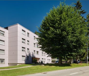 Appartement 1.5 pièce au rez - Photo 2