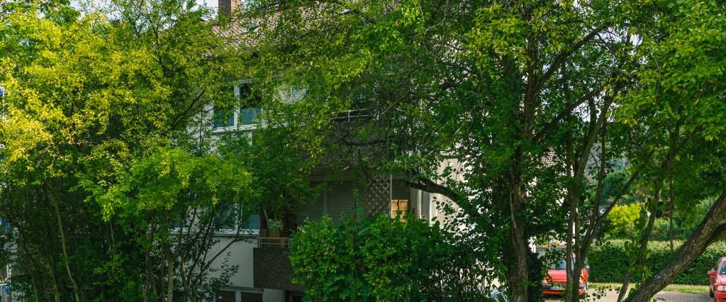 Demnächst frei! 3-Zimmer-Wohnung in Bad Dürkheim - Foto 1