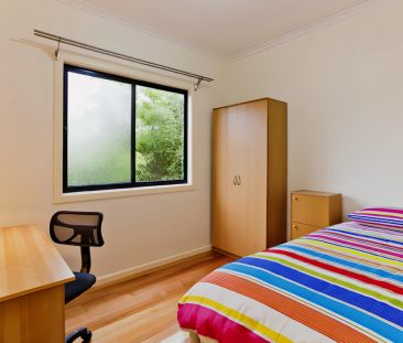 PLH1 Small - Photo 1