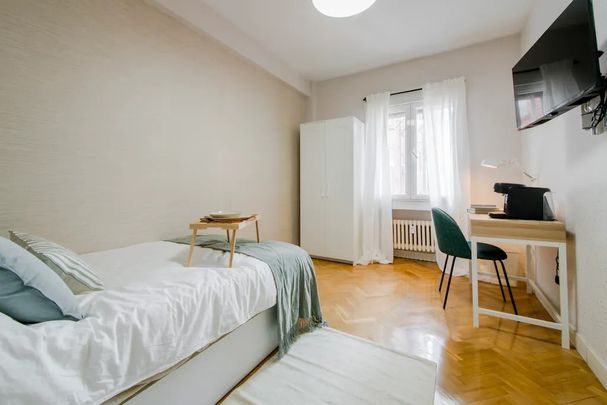 Paseo de la Castellana, Madrid, Community of Madrid 28046 - Photo 1