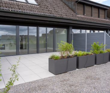 8157 Dielsdorf - Photo 3