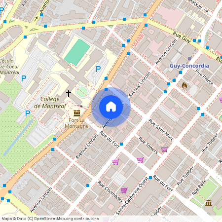 1955 Av. Lincoln, H3H 0C7, Montreal