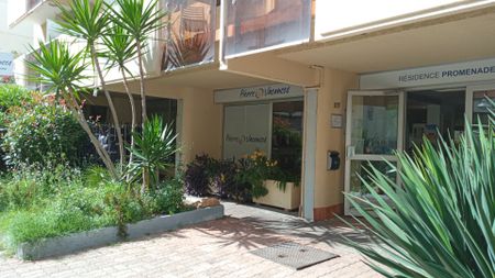 Location Appartement 1 pièce 22m² - Photo 2