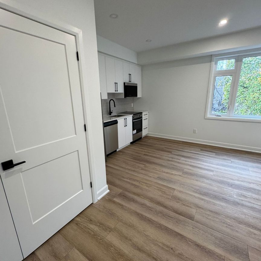 123 Harvey St #1, Ottawa, ON K1S 0A8 - Photo 1