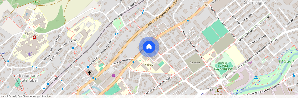 2502, Biel, Rue De Boujean / Bözingenstrasse, 28