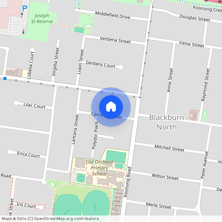 11 Camellia Street, Vic 3130, Blackburn North