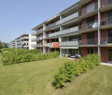 Apartment - Photo 4