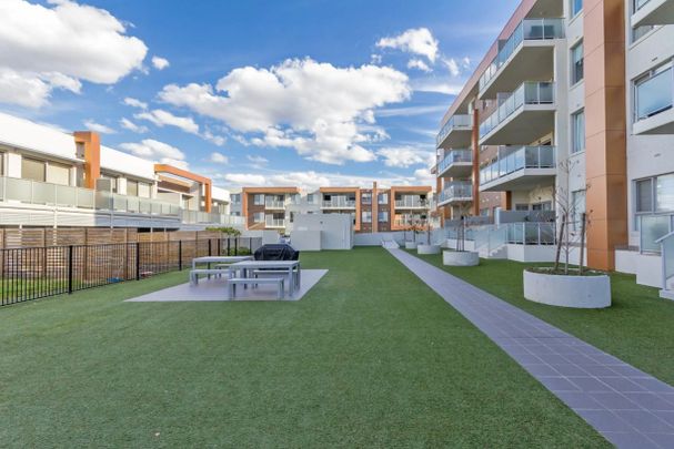 149/2 Windjana Street, Harrison - Photo 1