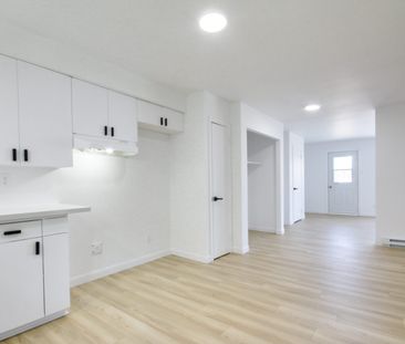 3355#5 rue Houde Trois-Rivières Quartier Universitaire - Photo 3
