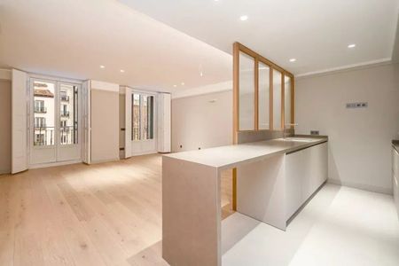 Madrid, Community of Madrid 28010 - Photo 5