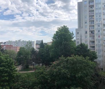 Location Appartement 2 pièces 52m² ST ETIENNE 42100 - Photo 5