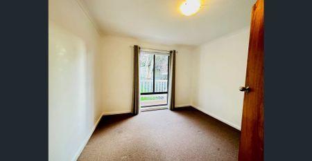 Coastal Comfort with Entertainer’s Deck - short walk to Boomer Beach. - Photo 5