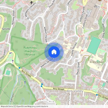 A/41 Adams Terrace, Aro Valley, Wellington City