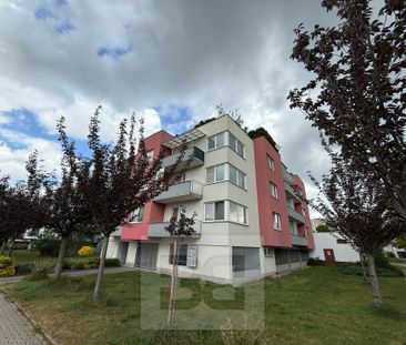 Apartment for rent, 2+kk - 1 bedroom, 59m - Photo 2