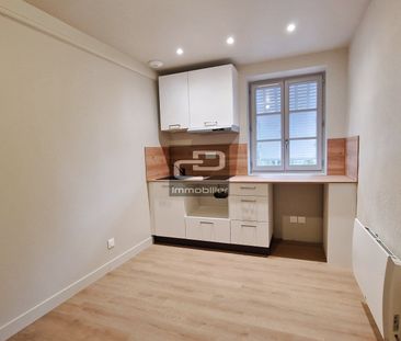 Location Appartement 1 pièce 13m² COUZON AU MONT D OR 69270 - Photo 1