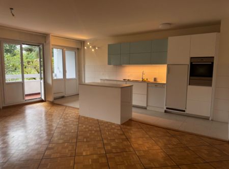 MAGNIFICENT 5.5 ROOM APARTMENT - Foto 4