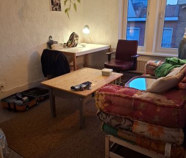 kot - Foto 4