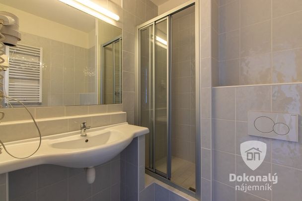Pronájem bytu 1+kk 16 m² - Фото 1