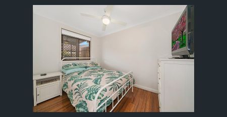 Small Complex - Photo 5