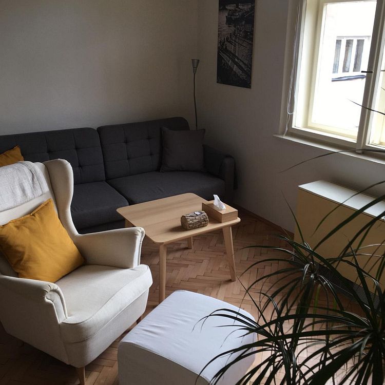 Pronájem bytu 1+1 46 m² - Photo 1