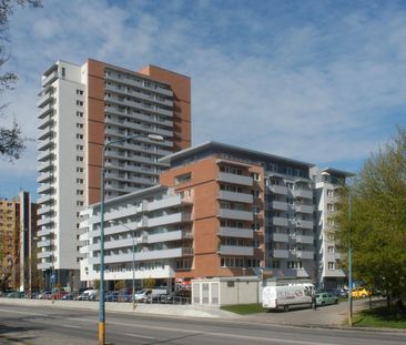 Prenájom izieb pre študentov a pracujúcich – Bratislava, Petržalka - Photo 5