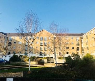 The Dell, Central - Photo 5