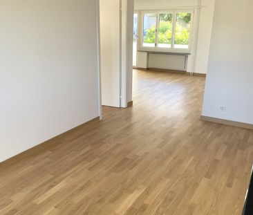 Frisch sanierte 3.5 Zimmer Wohnung mit Blick ins Grüne - Photo 1