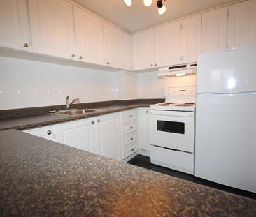 Downtown Living at its best - Minutes to parks, shops, restaurants,... - Photo 6