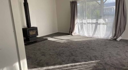 Kilkee Terrace, Flaxmere - Photo 3