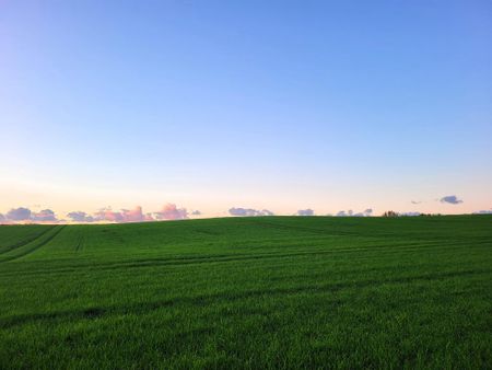 ERSTBEZUG! Schöne 2-Raum Wohnung mit Weitblick und EBK in Tessin! - Photo 3