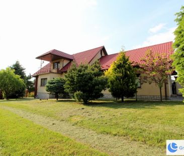 Dom na wynajem | duża działka |Olszanica |Od zaraz - Zdjęcie 4