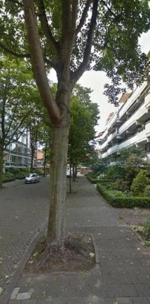 Rigolettostraat 2555 VM 's-Gravenhage - Photo 1