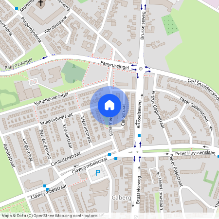 Schalmeistraat 6217 EW Maastricht