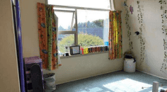 Rural Living on Kairau - Photo 2