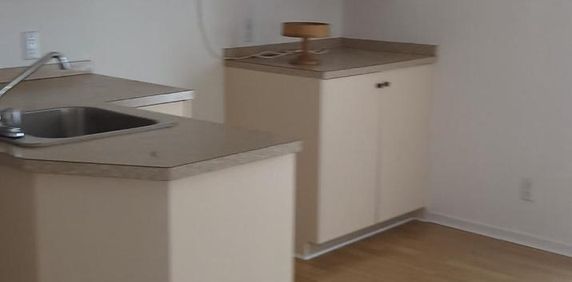 Danville – Appartement 3 1/2 à louer – Chauffé – Éclairé – Déneigé + Wi-Fi - Photo 2