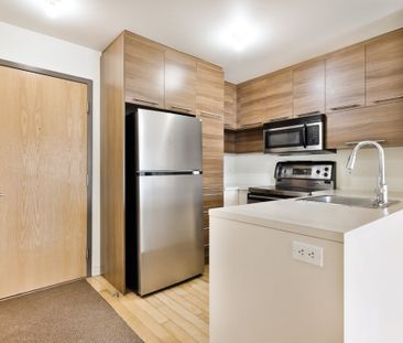 Nouveauté sur le marché Appartement à louer - Laval (Laval-des-Rapi... - Photo 3