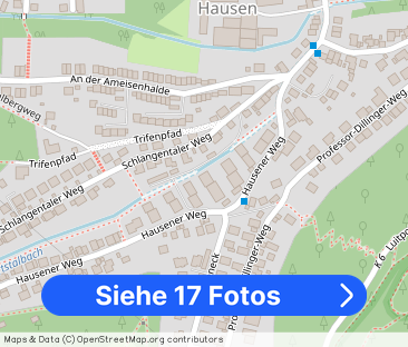 3-Zimmer-Wohnung mit Balkon in Bad Dürkheim mieten - Foto 1