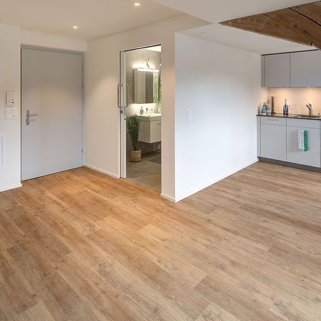 1.5 Zimmer, 44 m², 3. Stock - Photo 1