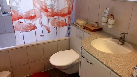 4½ Zimmer-Wohnung in Zürich - Kreis 11 Allenmoos, möbliert, auf Zeit - Photo 2